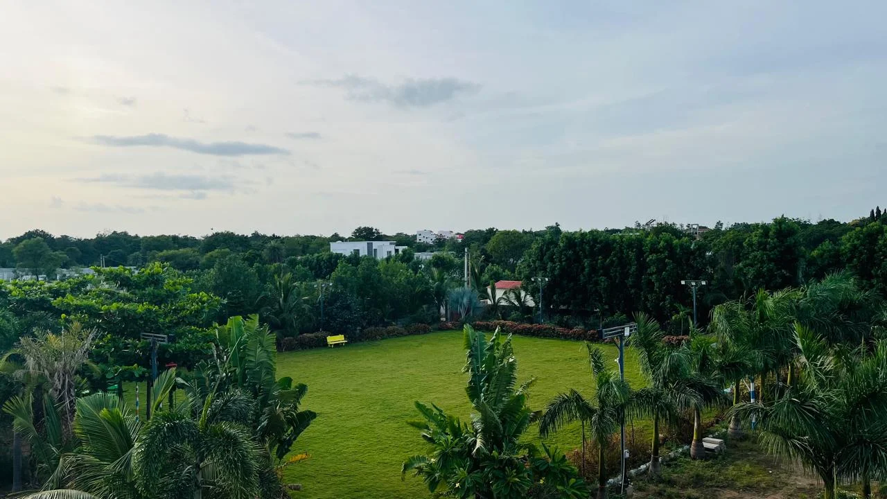 Drone view of the green farmland